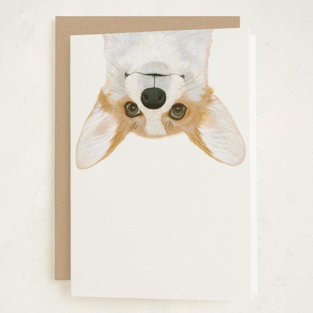 imageMinted Kids Birthday Cards Pack Set of 5 Kids Greeting Card Variety Pack Fun amp Cute Folded Greeting Cards With Envelopes Unique Happy Birthday Stationery Cards Designed by Independent ArtistsDerp