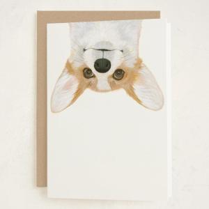 Minted Kids Birthday Cards Pack, Set of 5, Kids Greeting Card Variety Pack, Fun & Cute Folded Greeting Cards With Envelopes, Unique Happy Birthday Stationery Cards, Designed by Independent Artists(Derp)