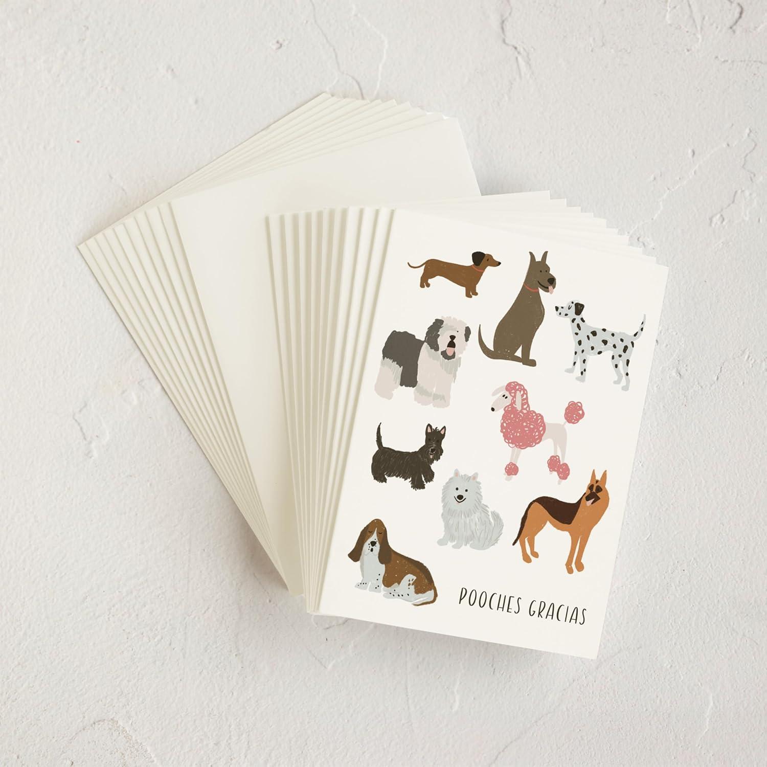 imageMinted Thank You Cards 10 Pack Pooches Gracias Design Folded 425 x 55 Inch Blank Greeting Cards with Envelopes for Pet Lovers Wedding Graduation Baby Shower Appreciation NotesPooches Gracias