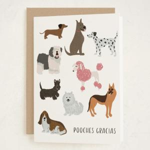 MINTED Frenchie Flowers Blank Card for Any Occasion, Cute Dog Illustration Note Card, Premium 5×7 Blank Greeting with Envelope, French Bulldog with Bouquet Design for Thank You Thinking of You Message(Pooches Gracias)